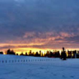 Meet your Posher, Gena